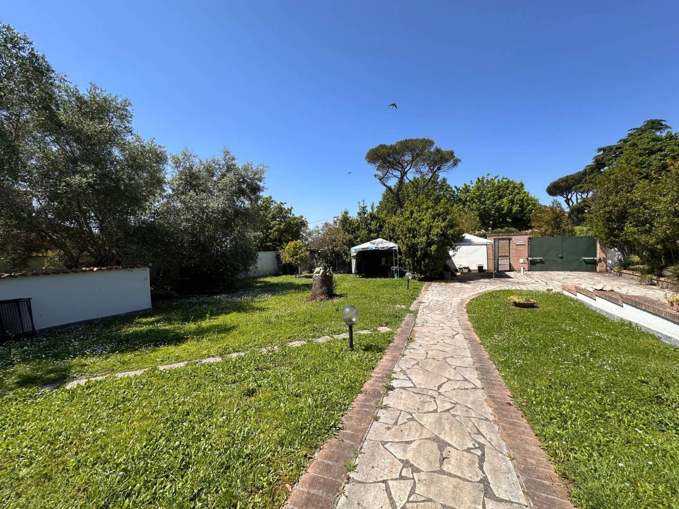 Giardino
