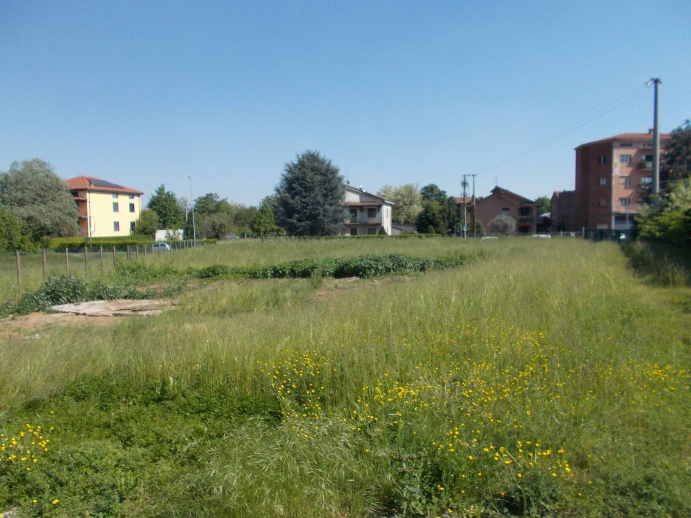 Terreno