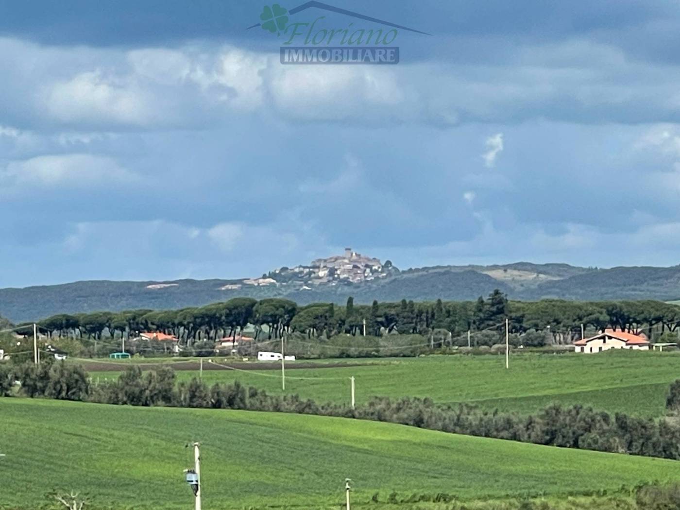 Vista