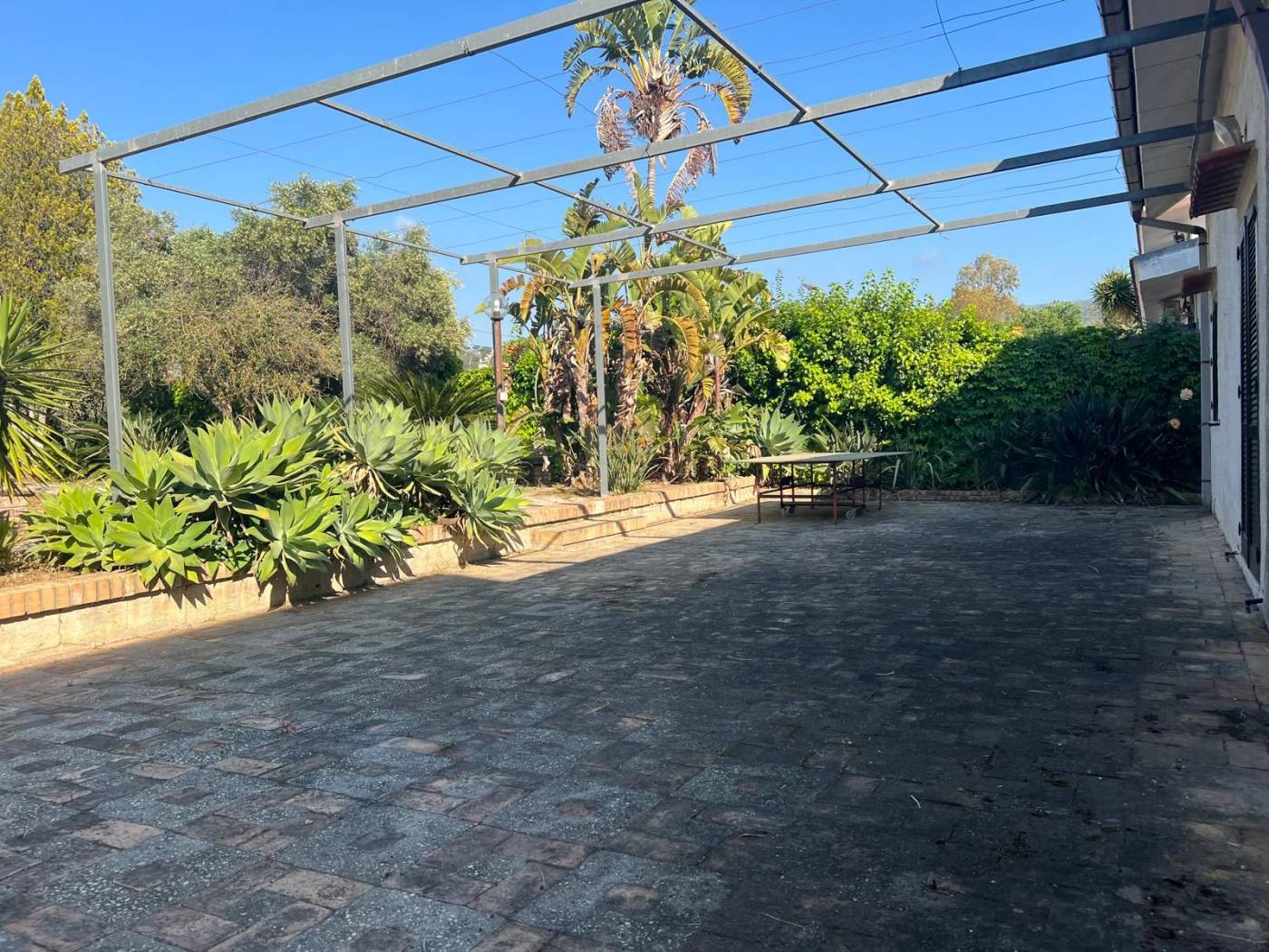Giardino
