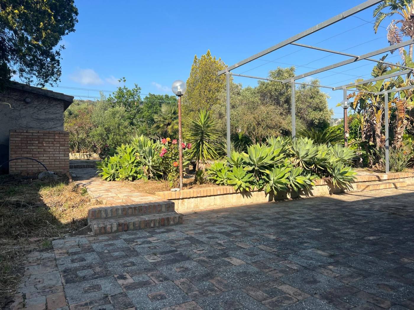 Giardino