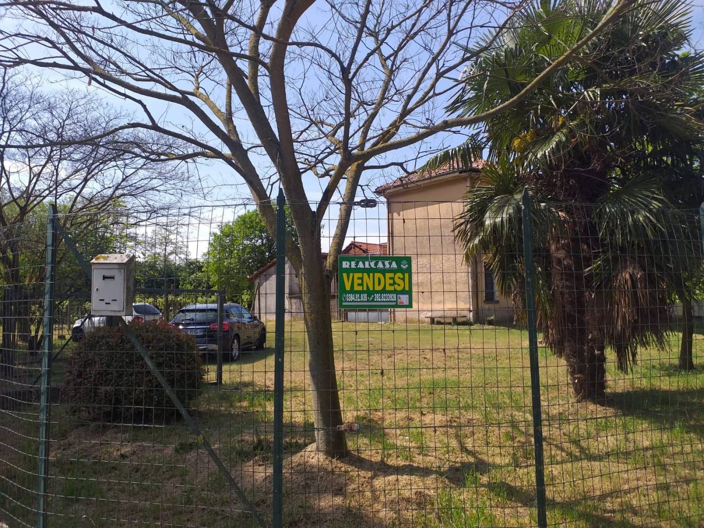 Zona