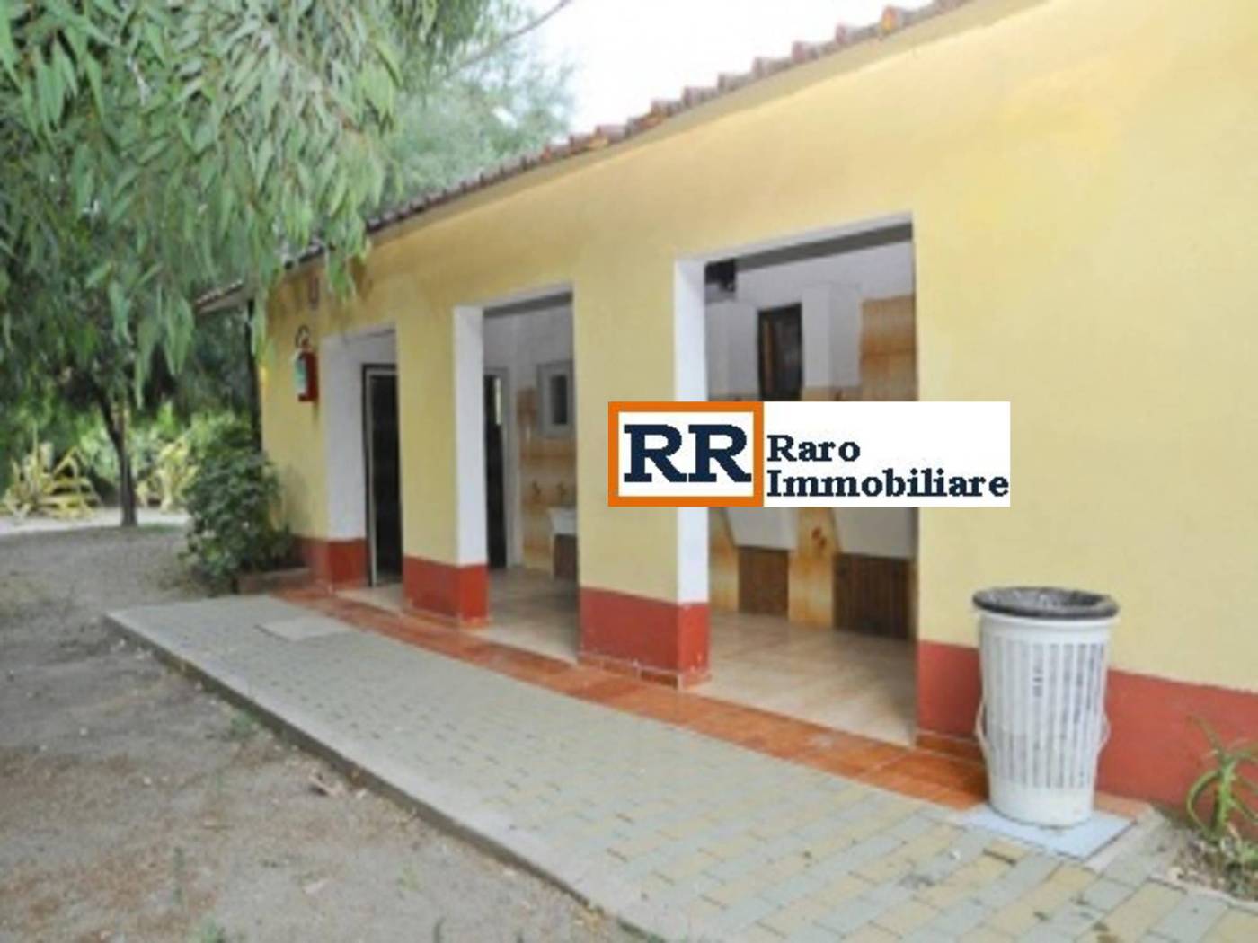 Zona Zona