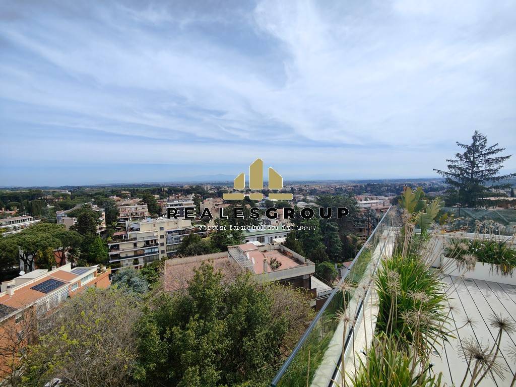 Vista