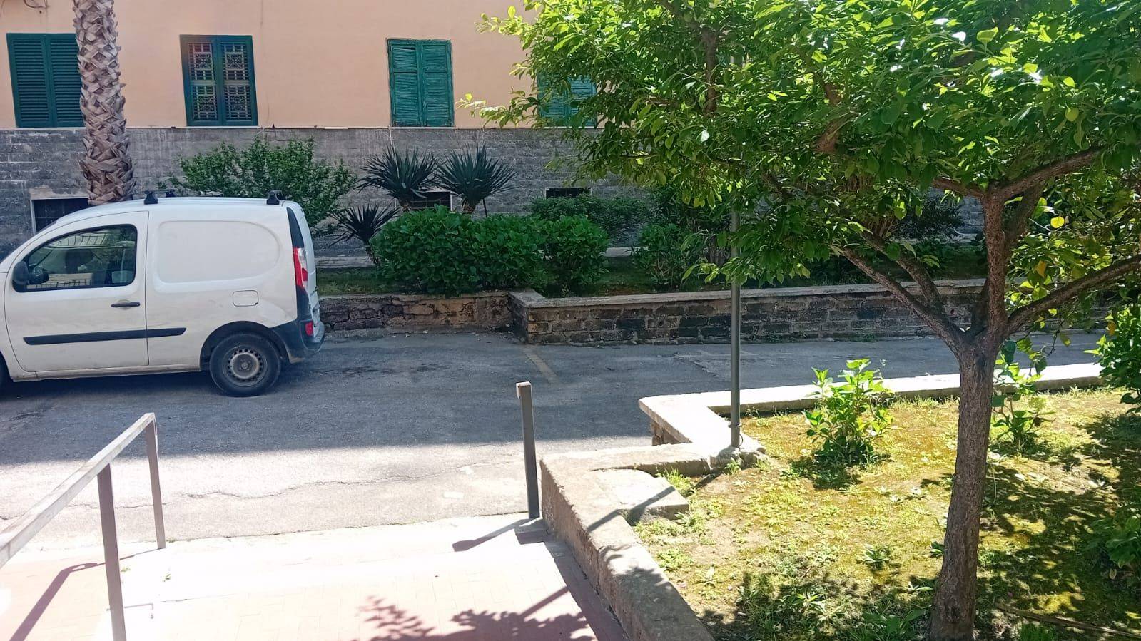 Giardino