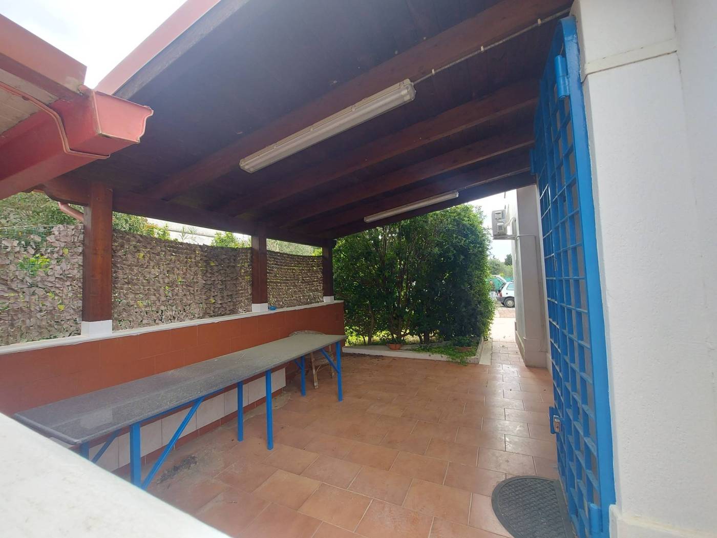 Giardino