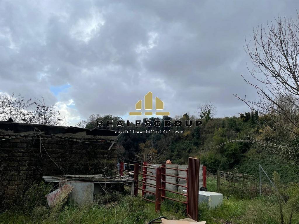 Terreno