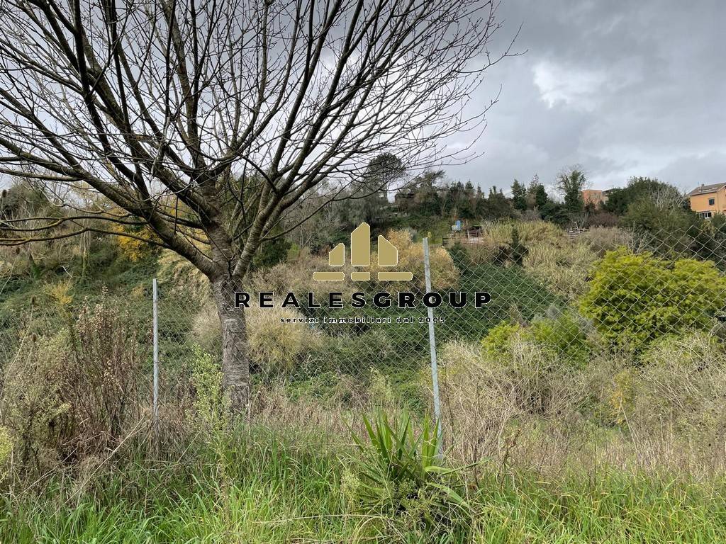 Terreno