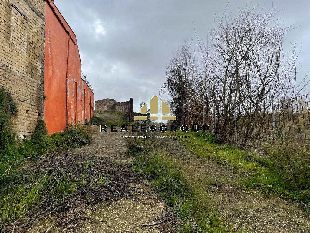 Terreno