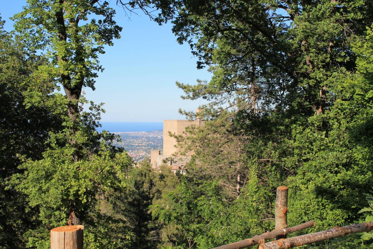 Vista