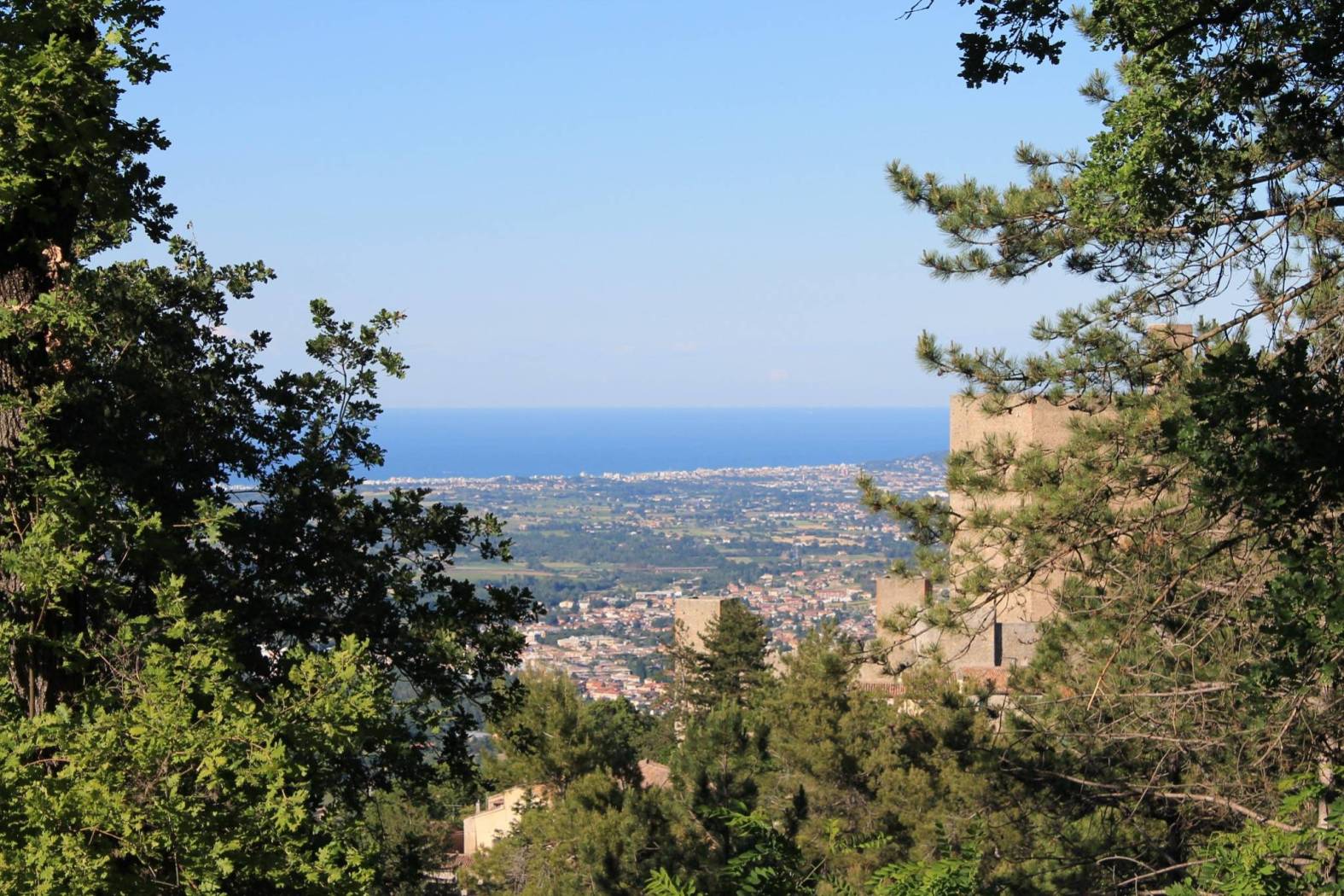 Vista