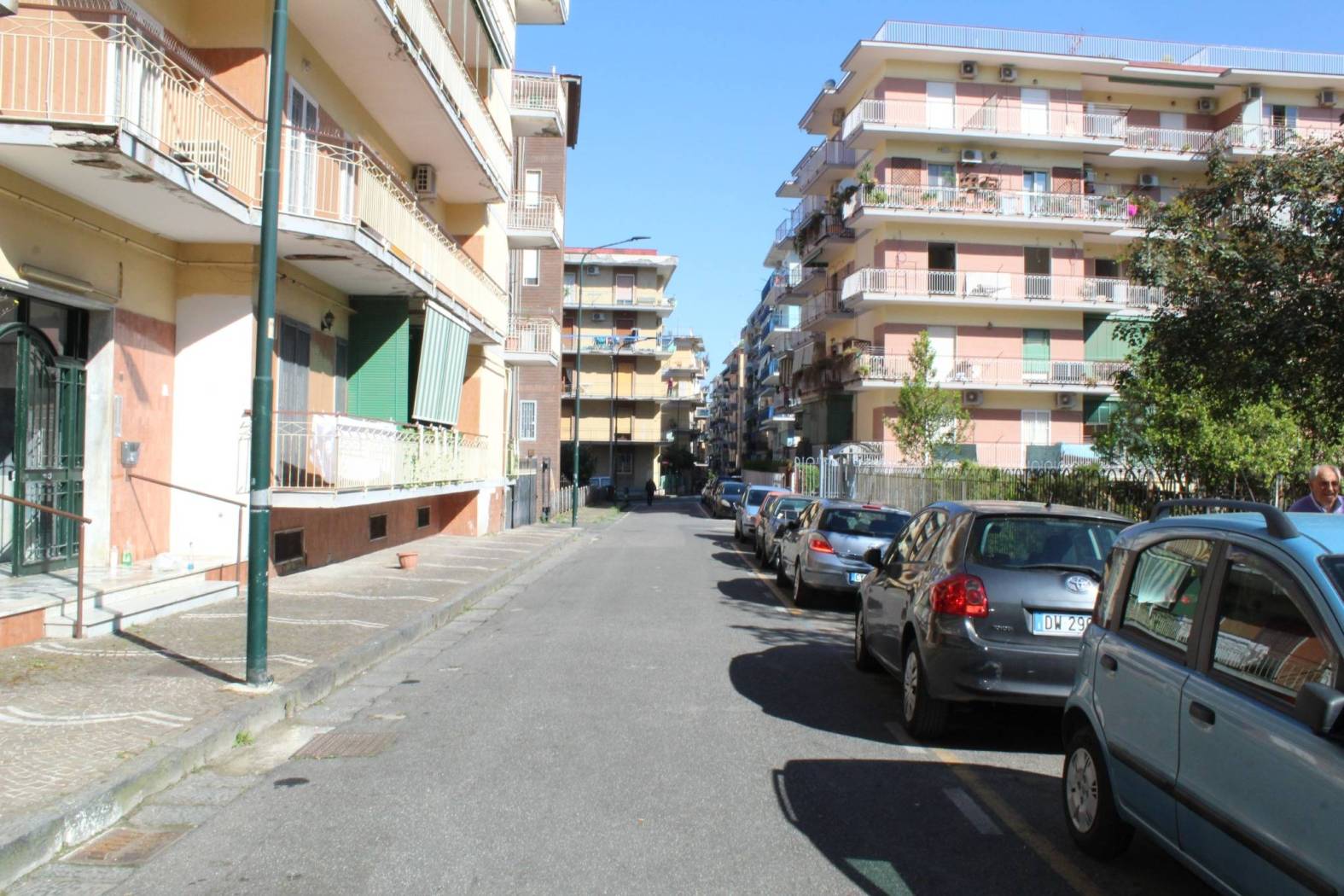 Zona