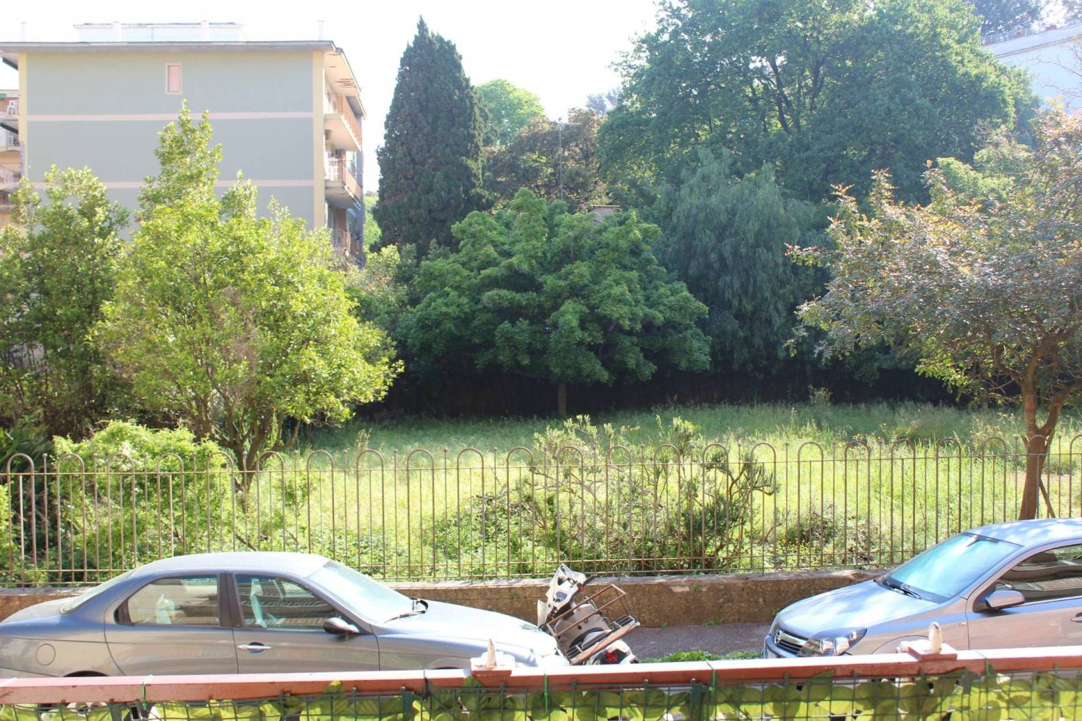 Zona