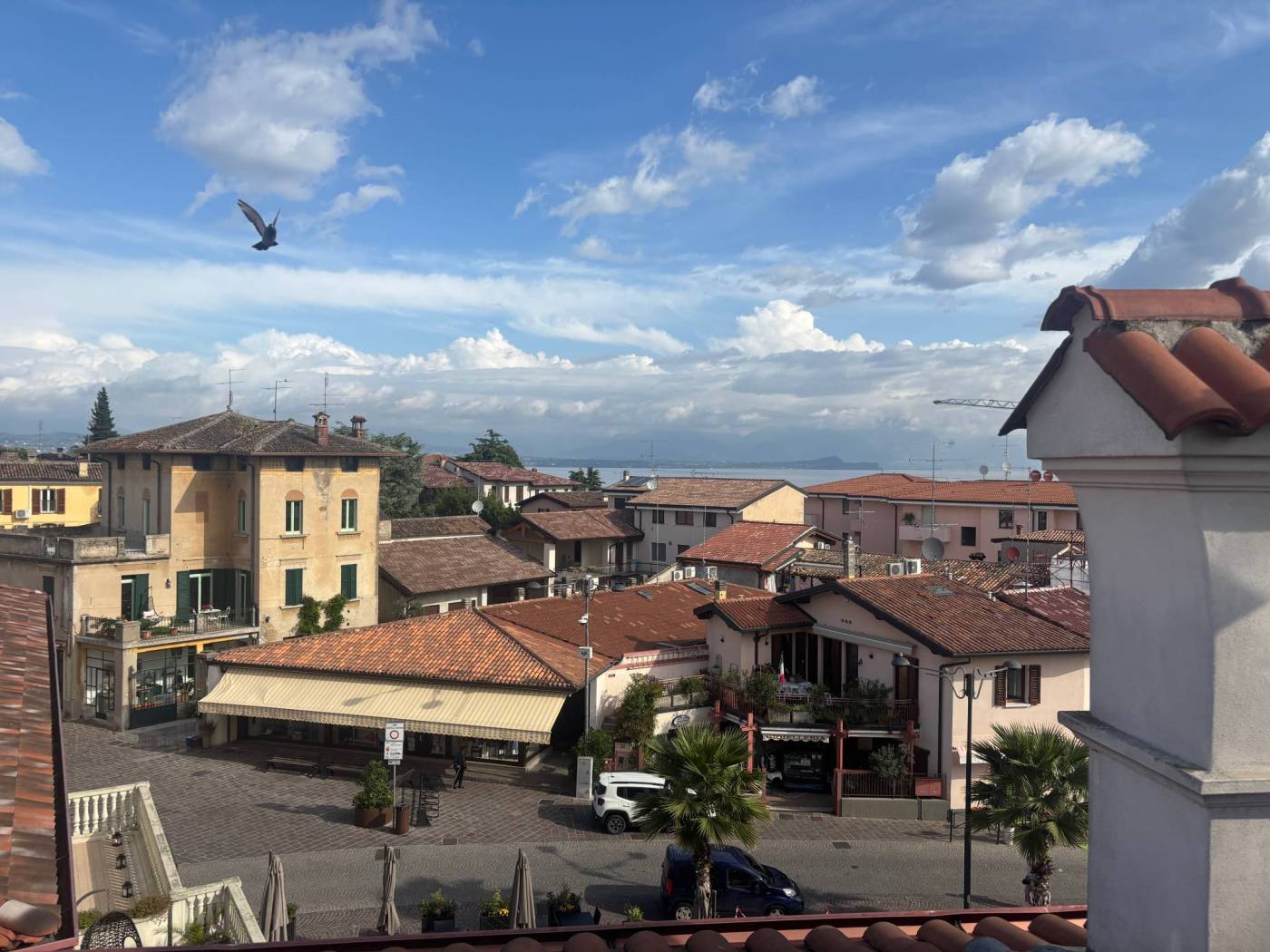 Vista