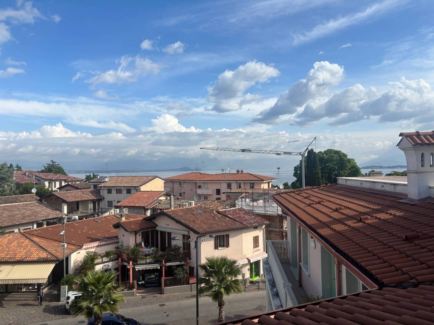 Vista