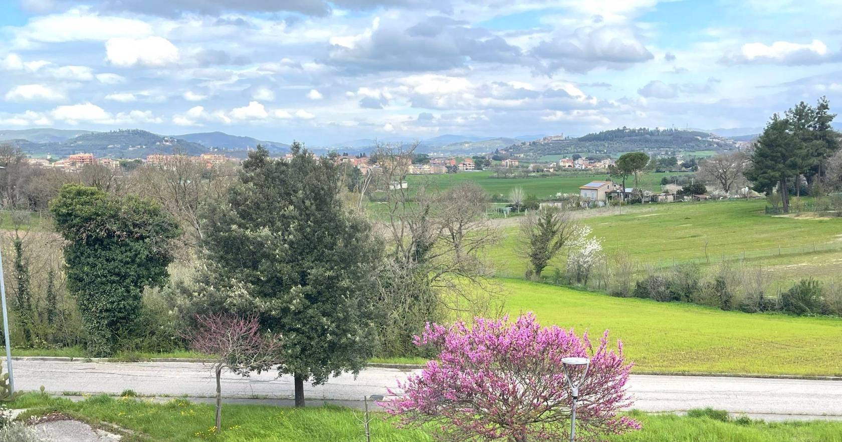 Vista