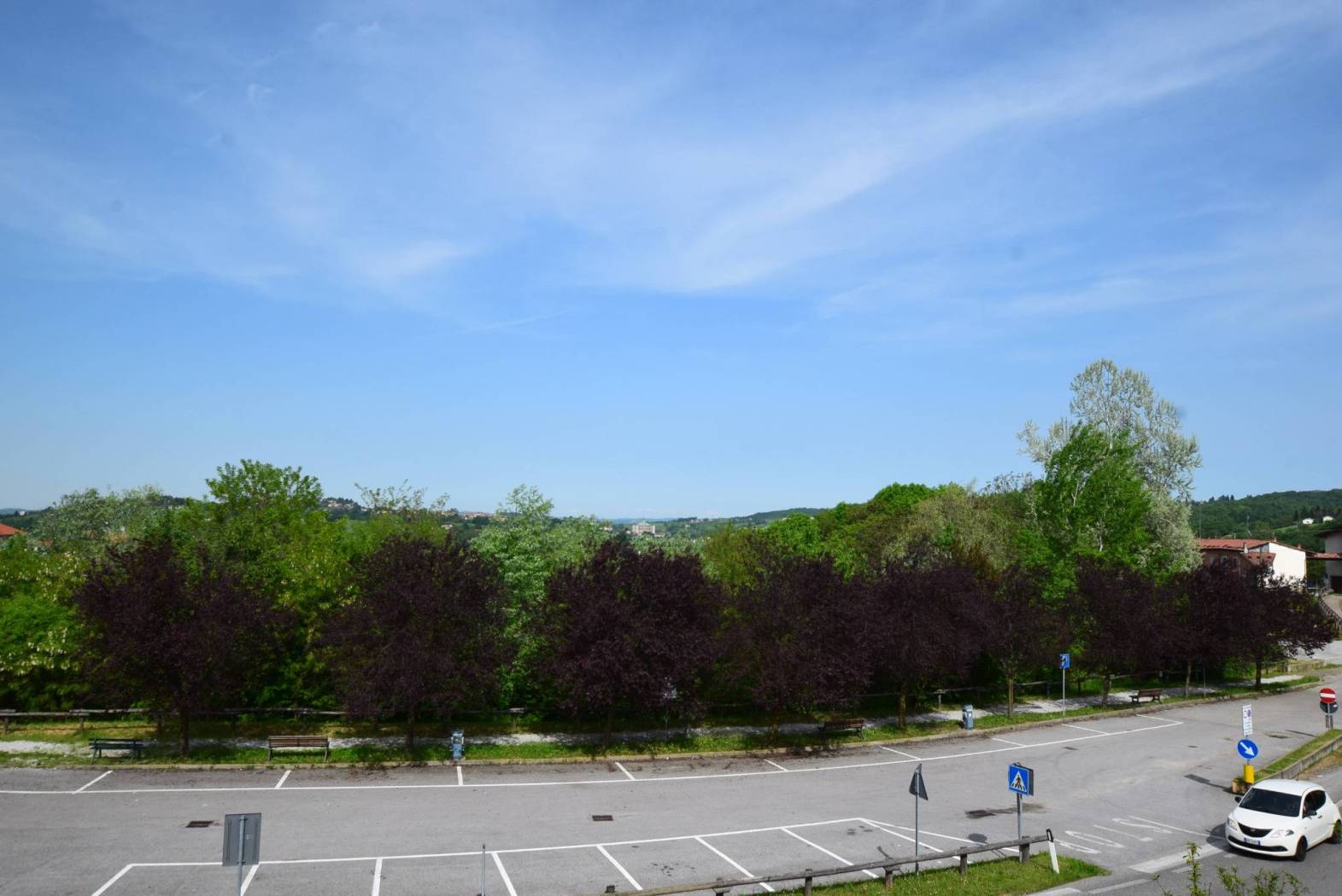Vista