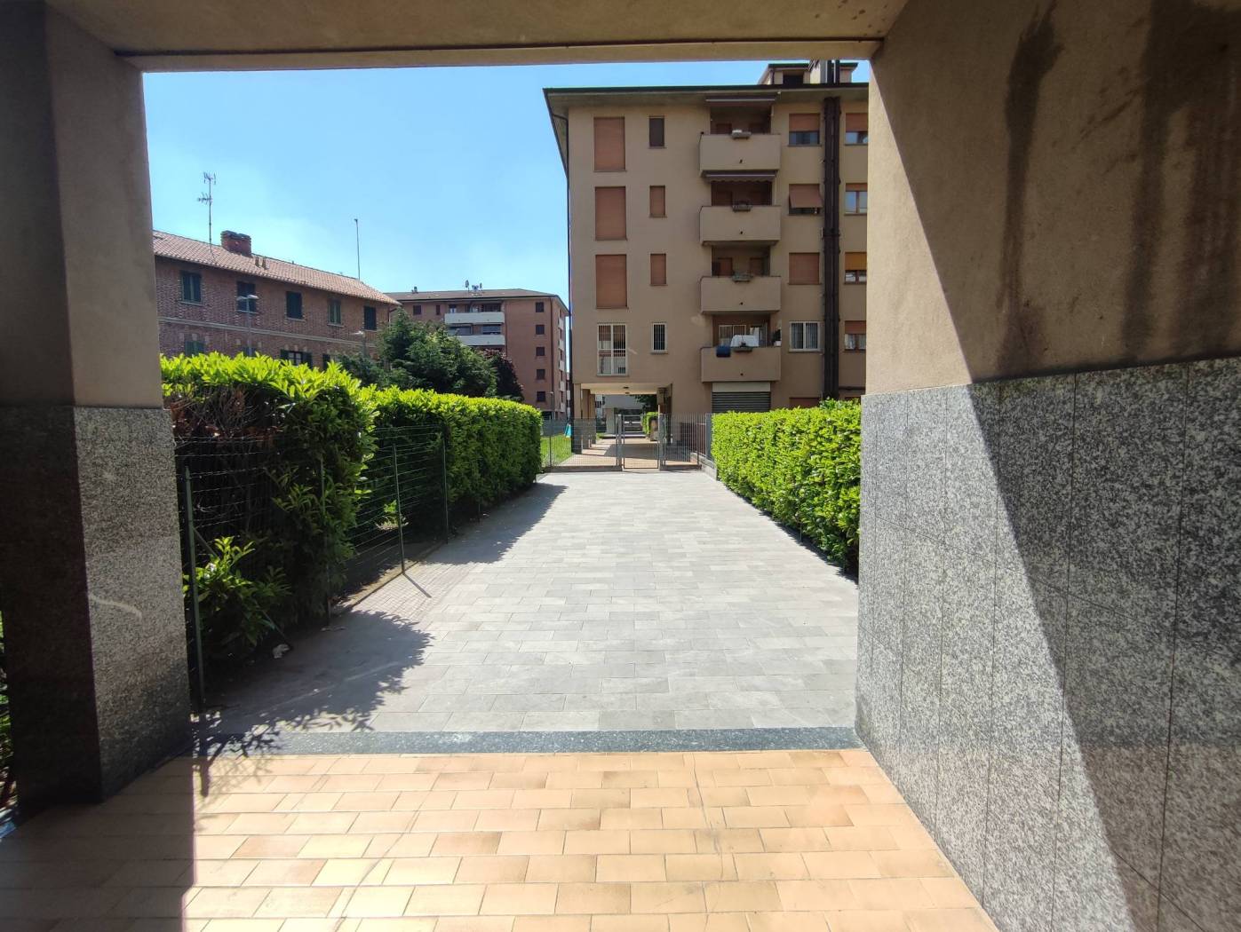 Zona