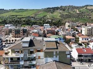 Zona