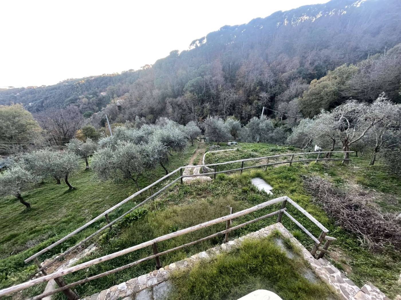 Terreno