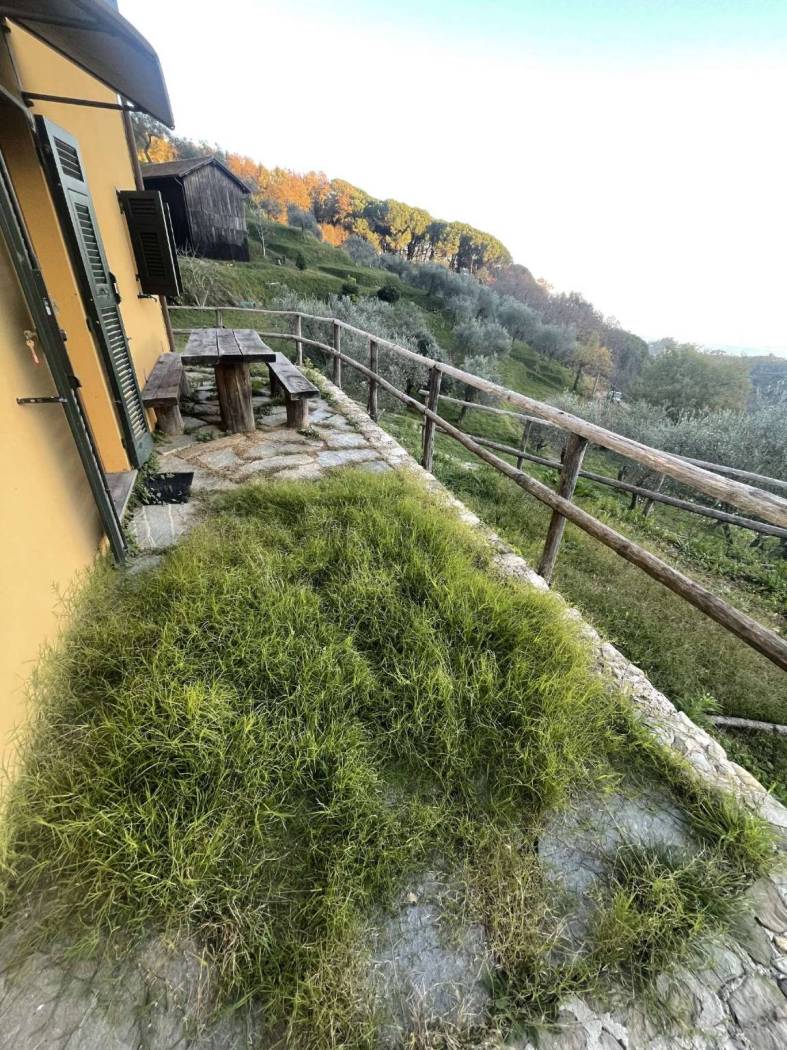Terreno