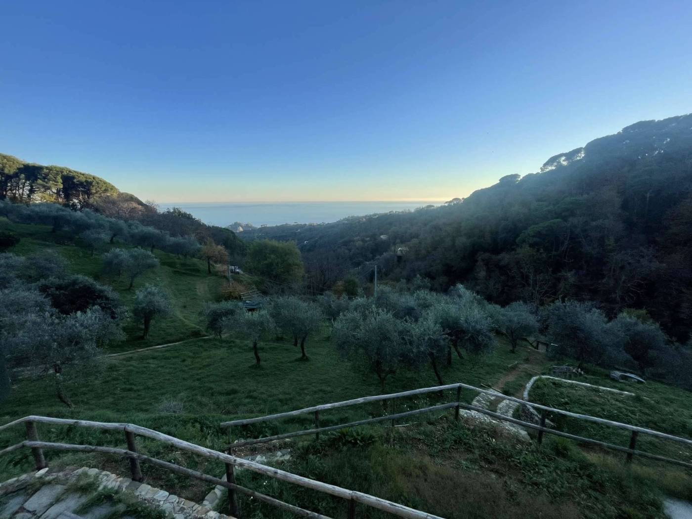 Vista