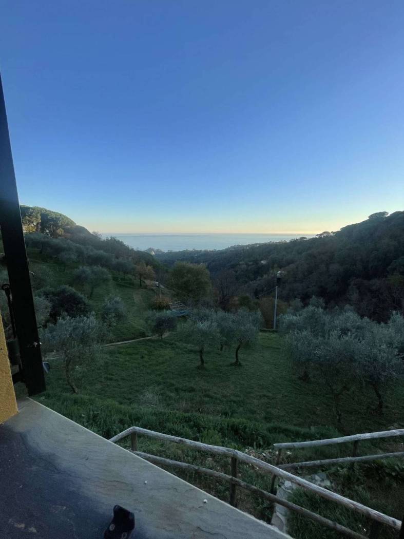 Vista