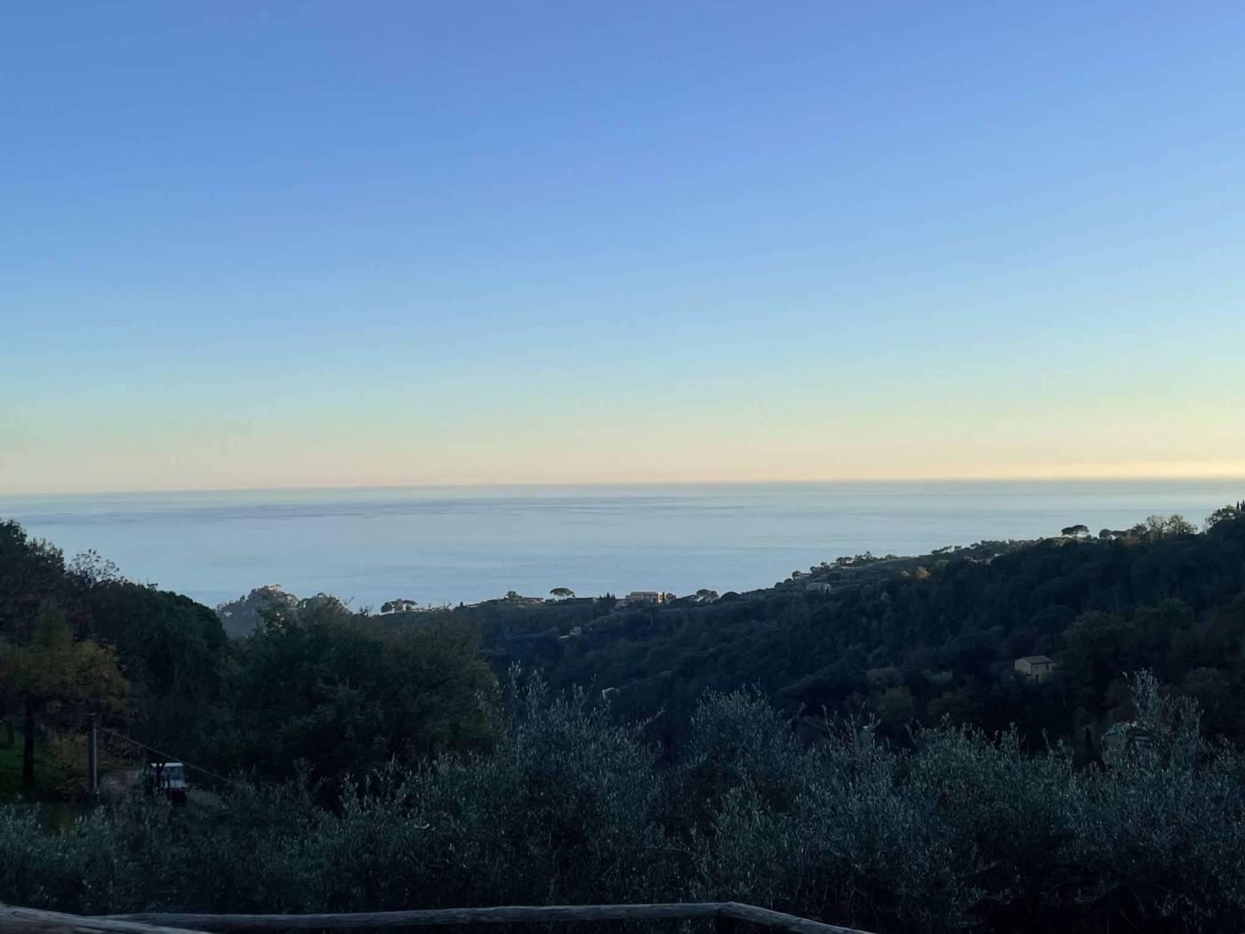 Vista