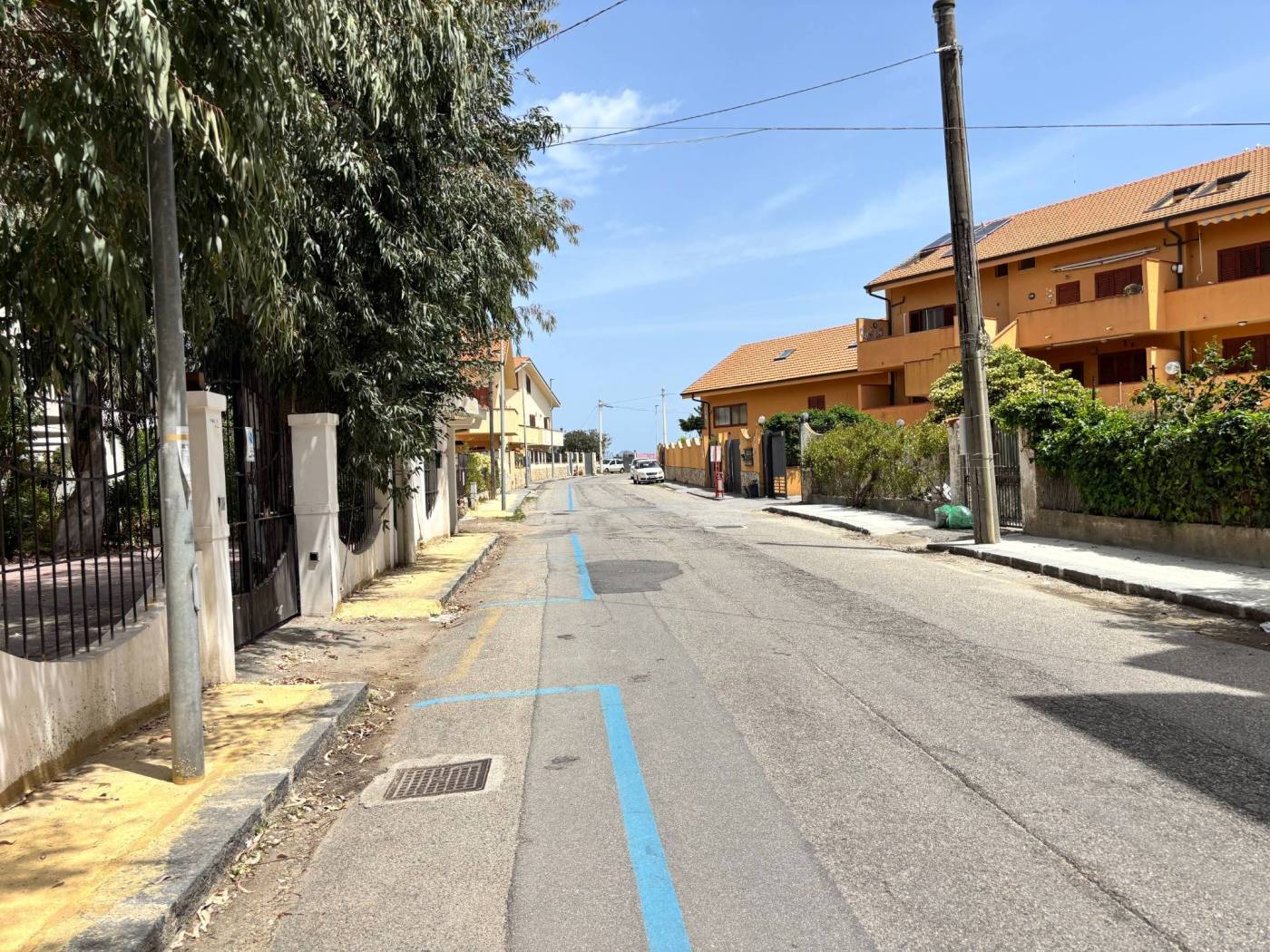 Zona