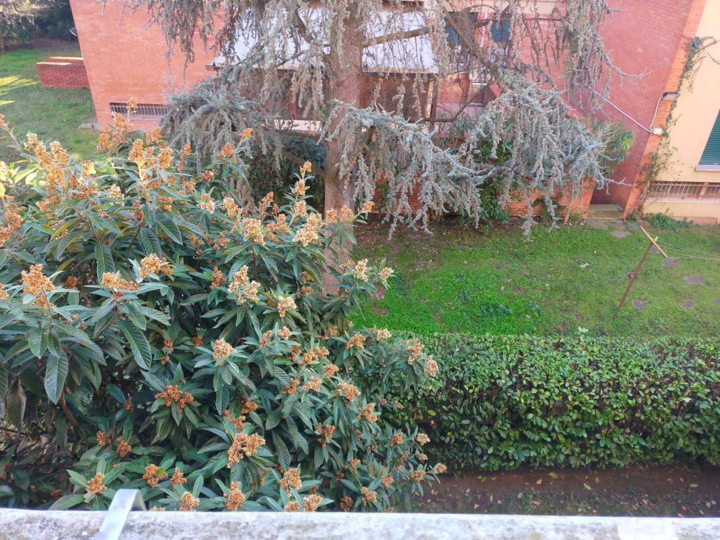 Giardino