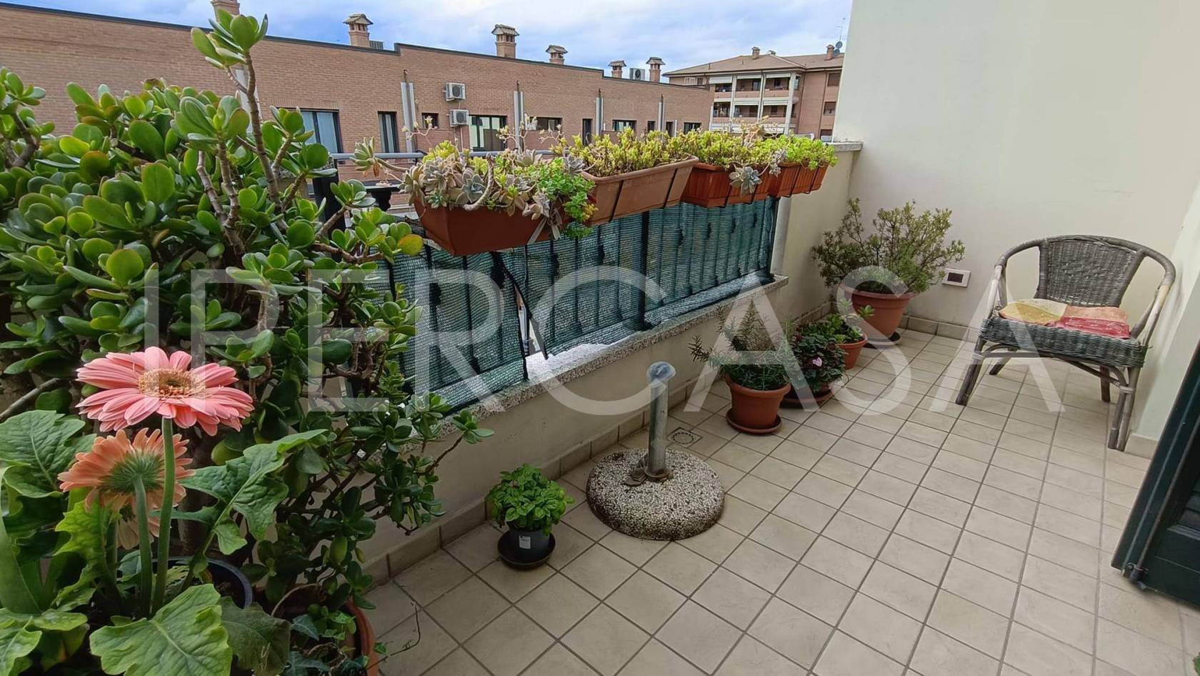 Terrazzo