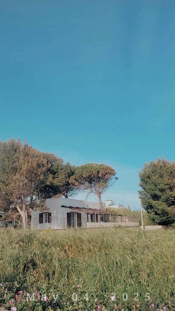 Terreno