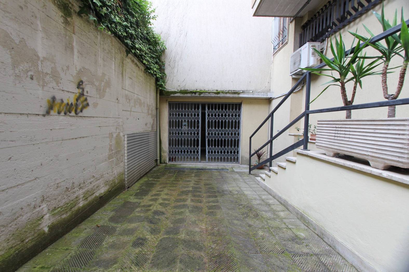 Ingresso