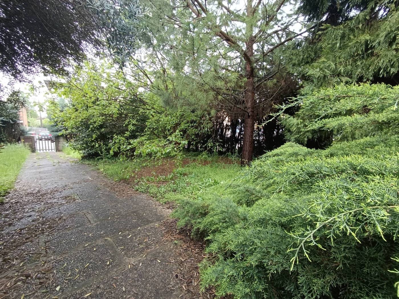 Terreno