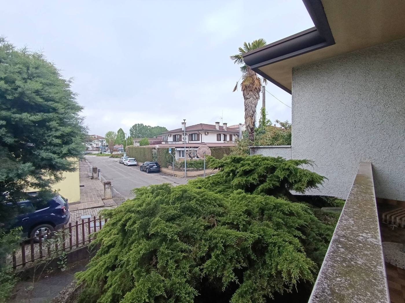 Vista