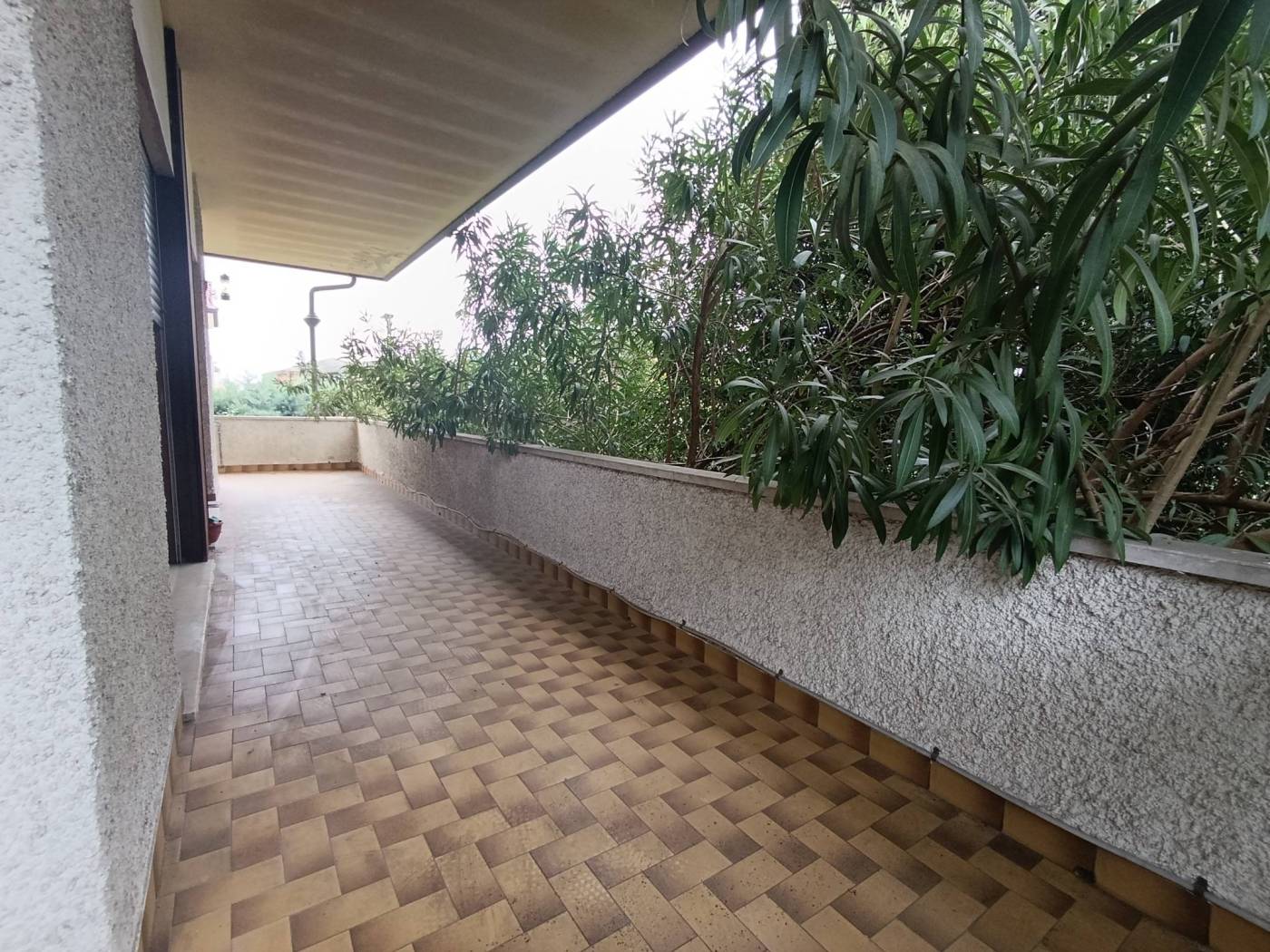 Terrazzo