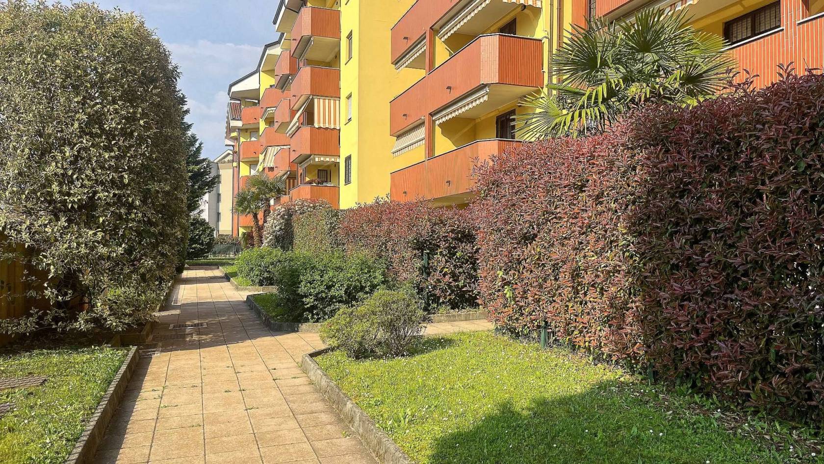 Giardino