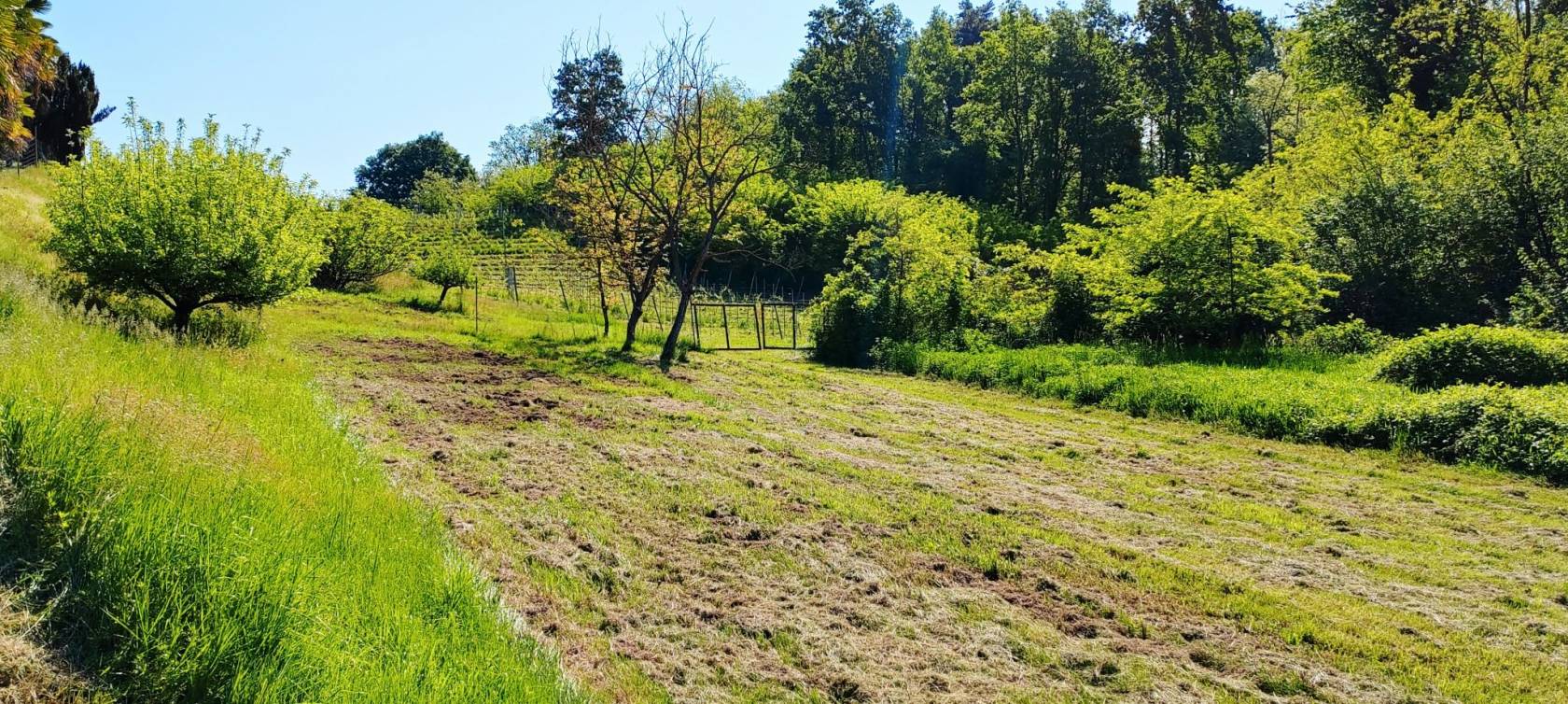 Terreno