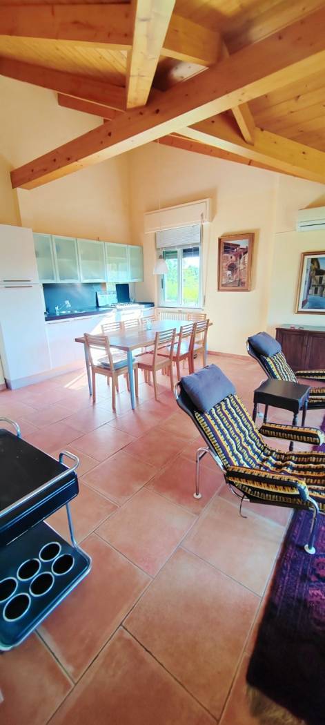 Salone
