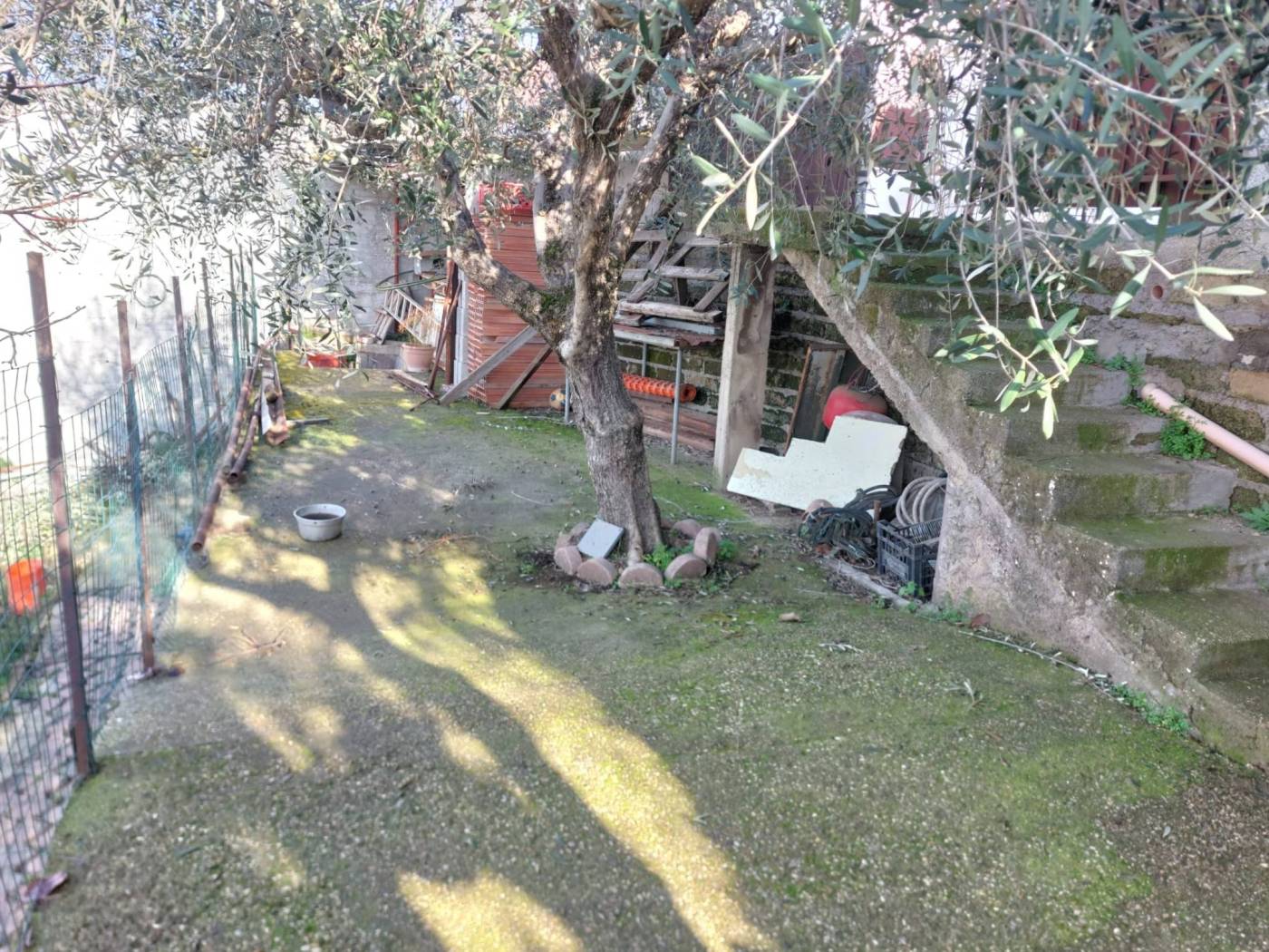 Giardino