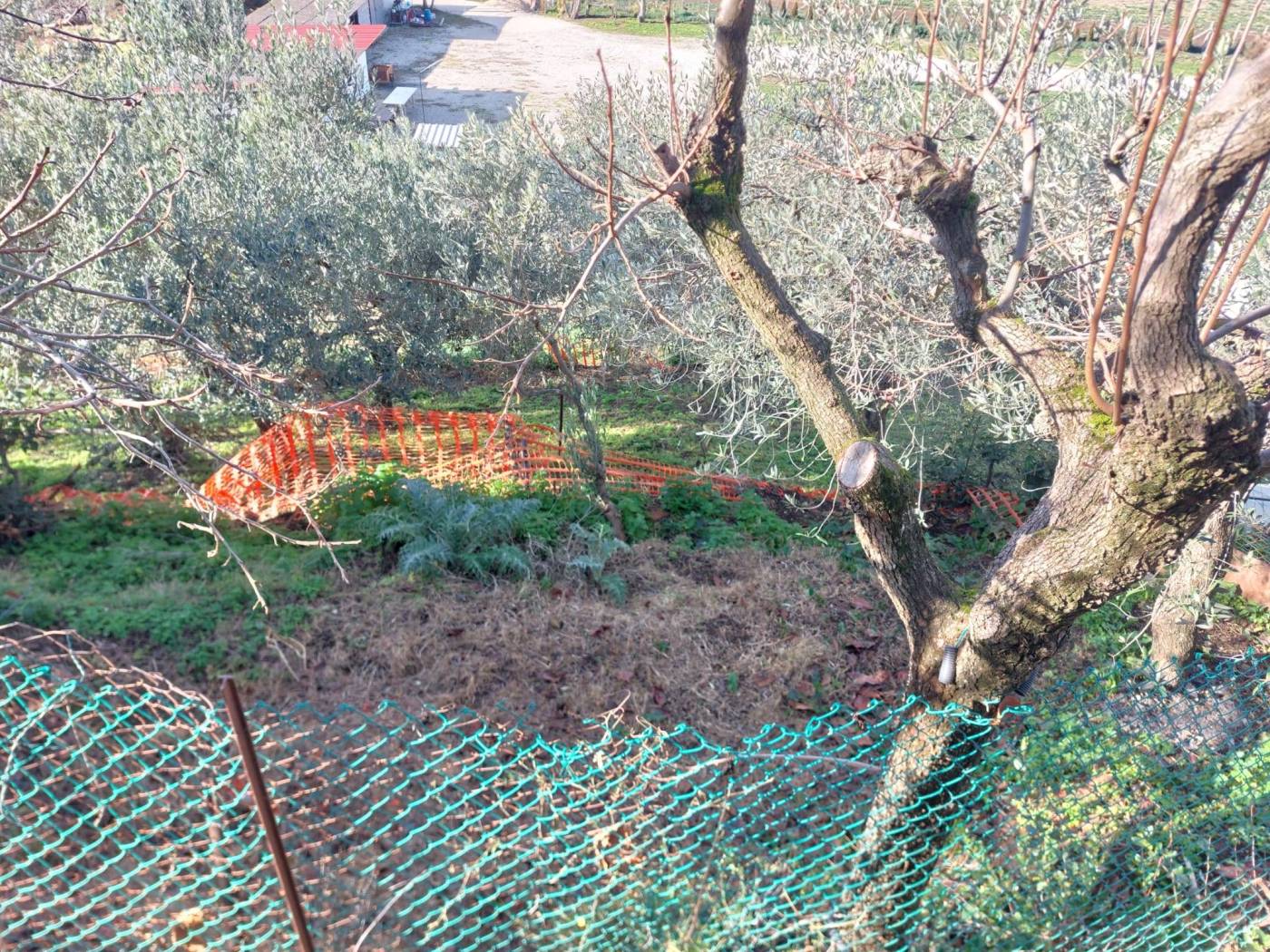 Terreno