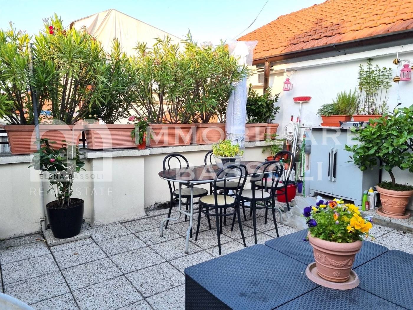 Giardino