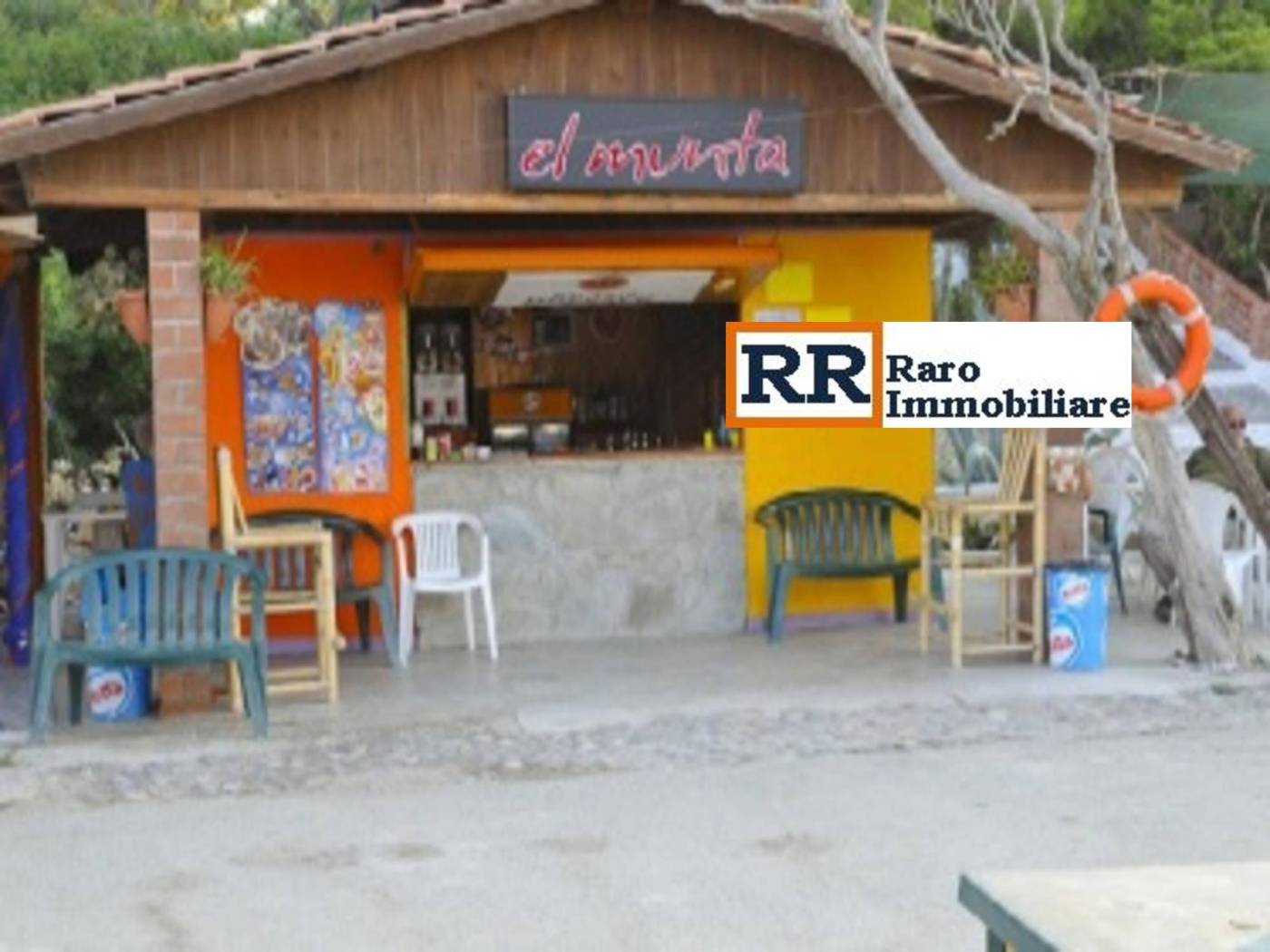 Zona Zona