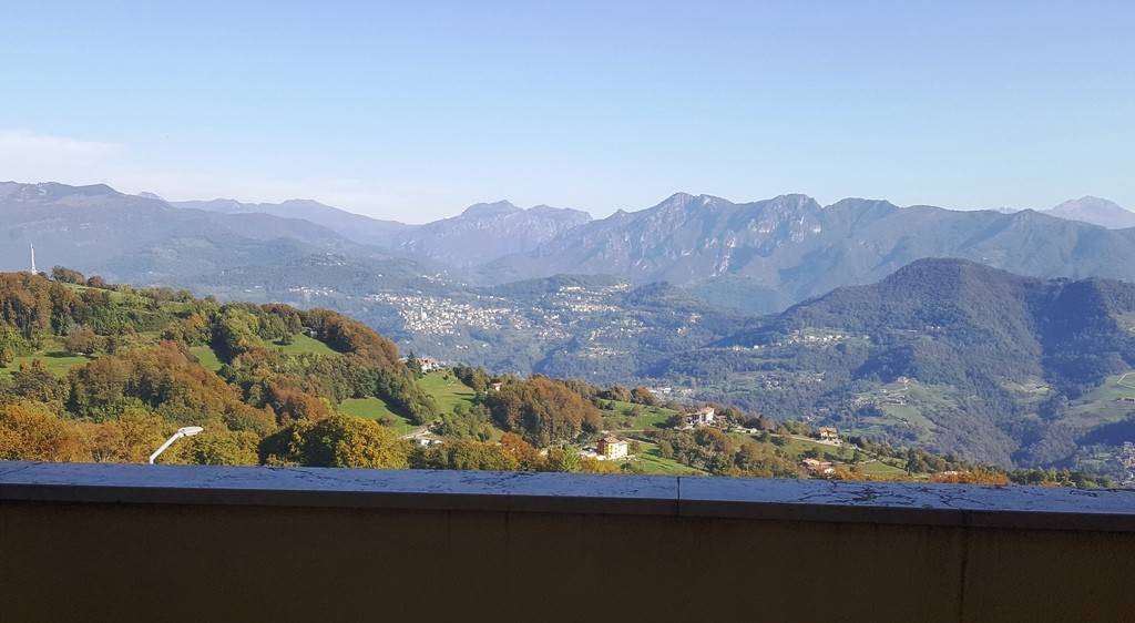Vista