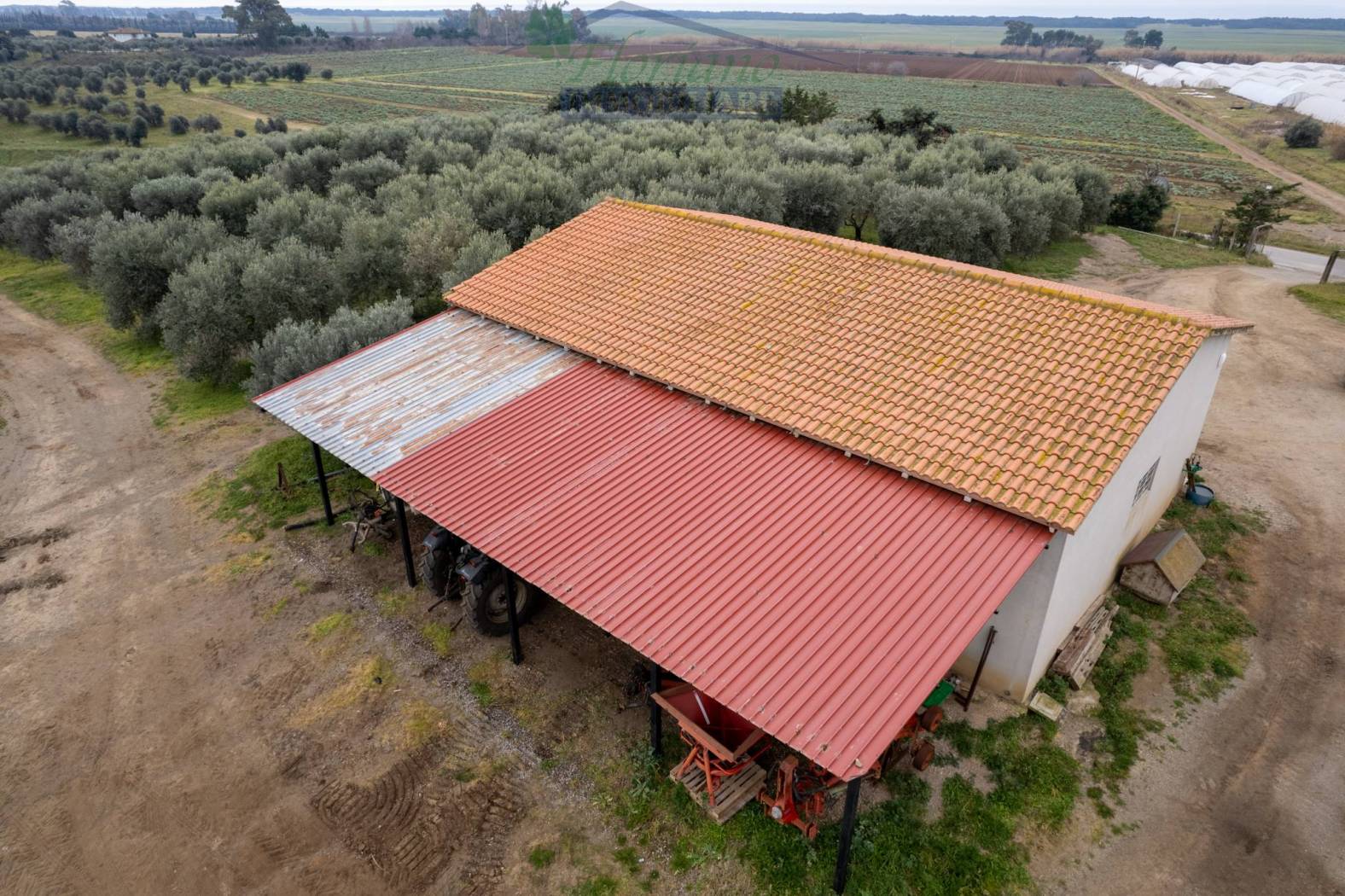 Terreno