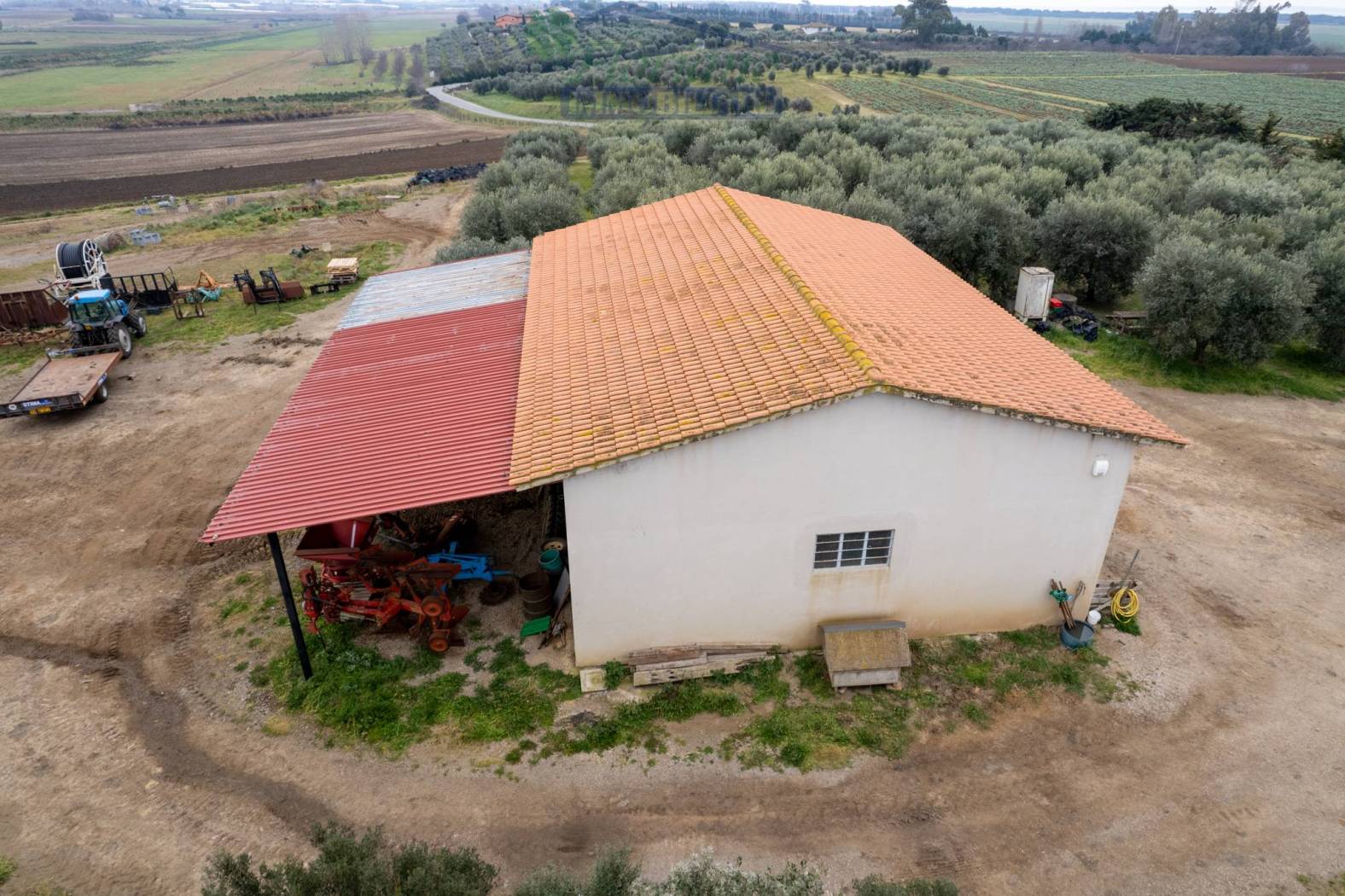 Vista