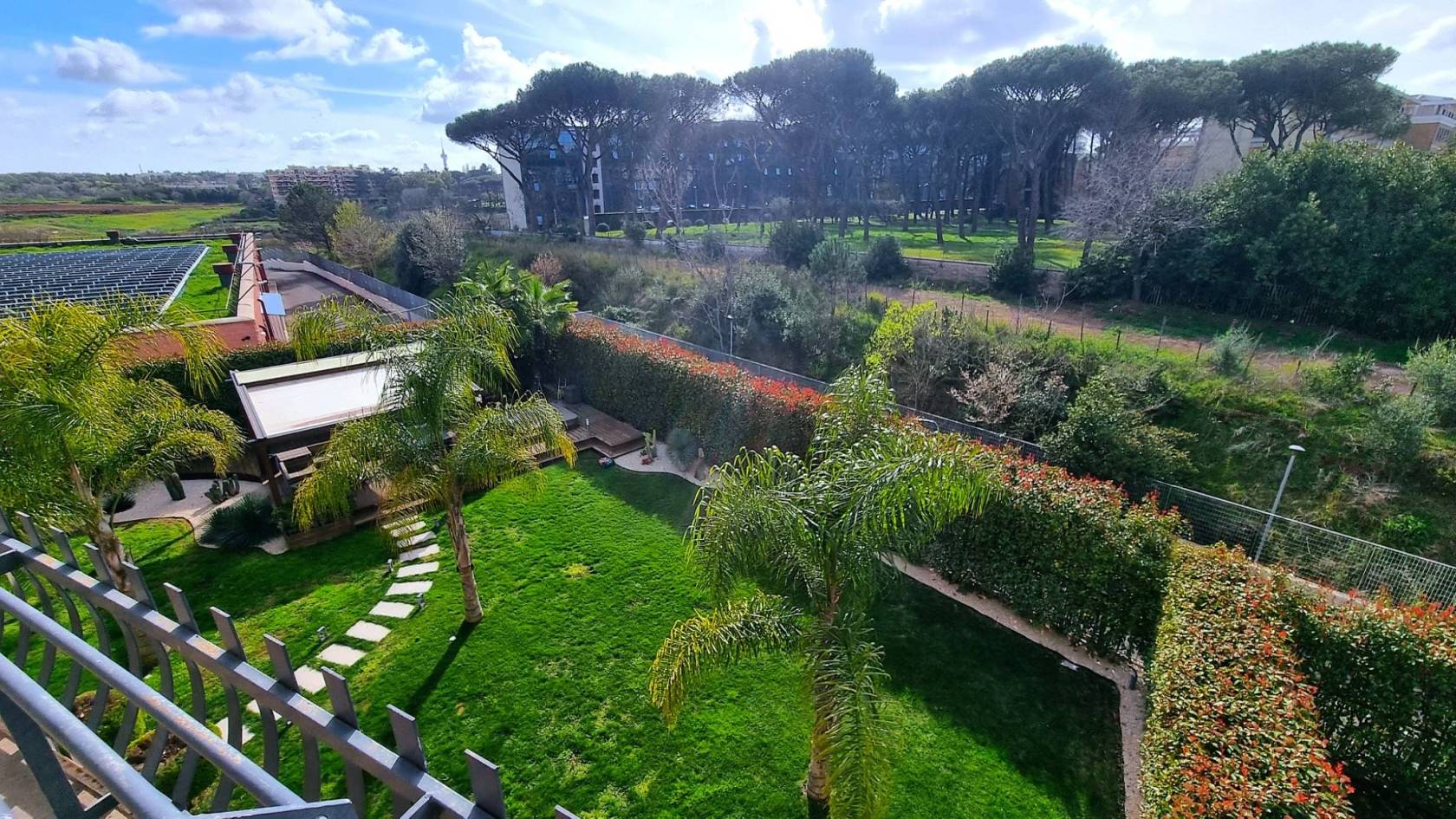 Vista