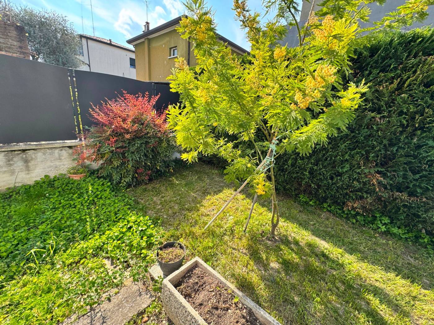 Giardino