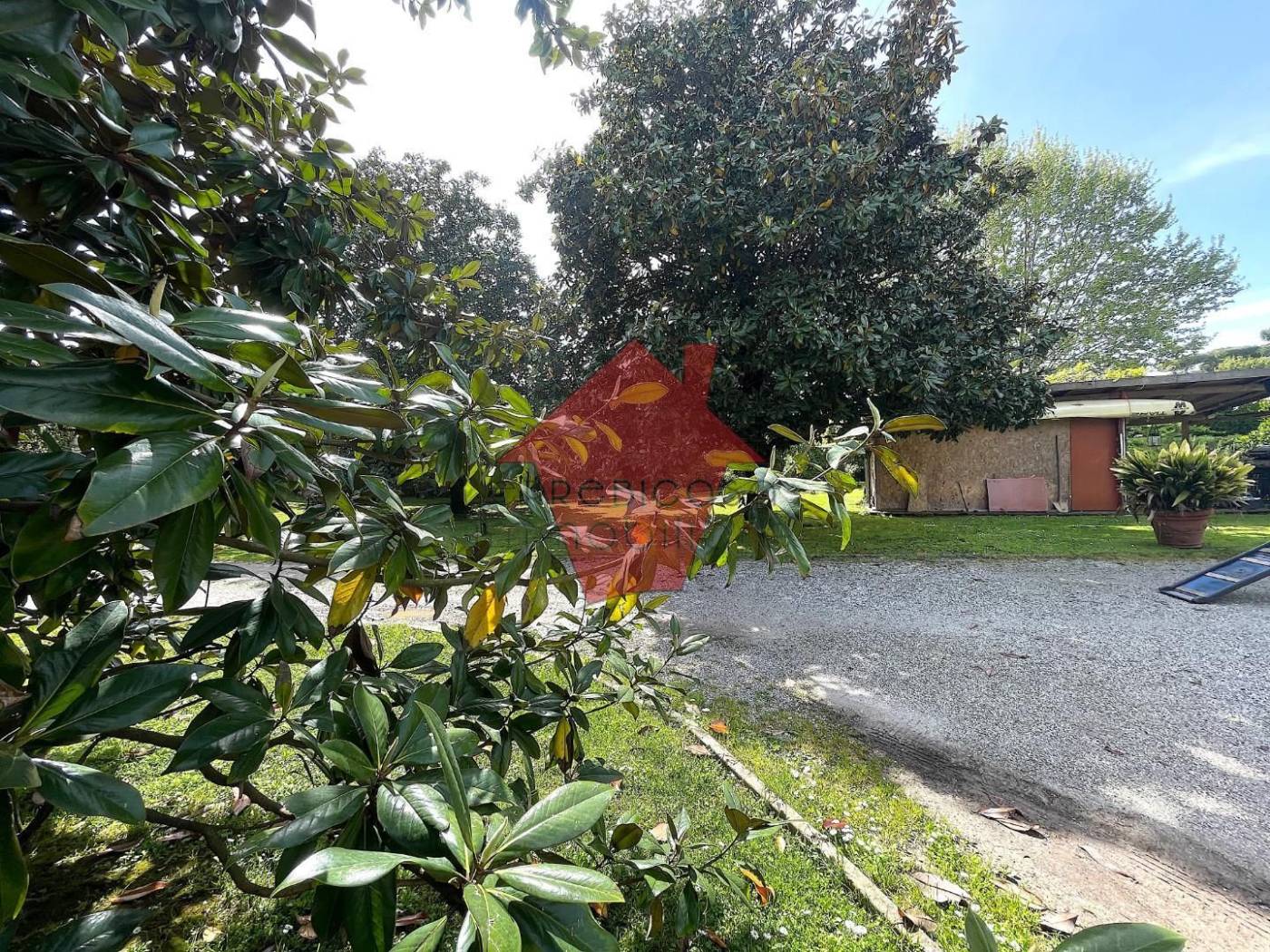 Giardino