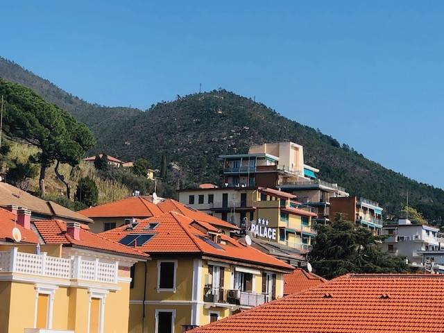 Vista